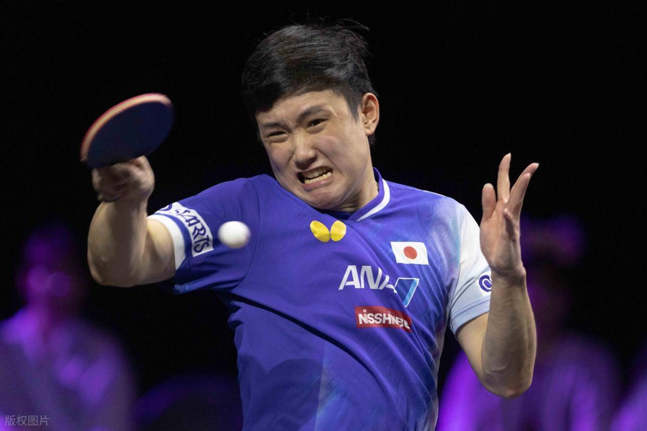 包含瑞典队翻盘日本队，张本智和高光表现的词条