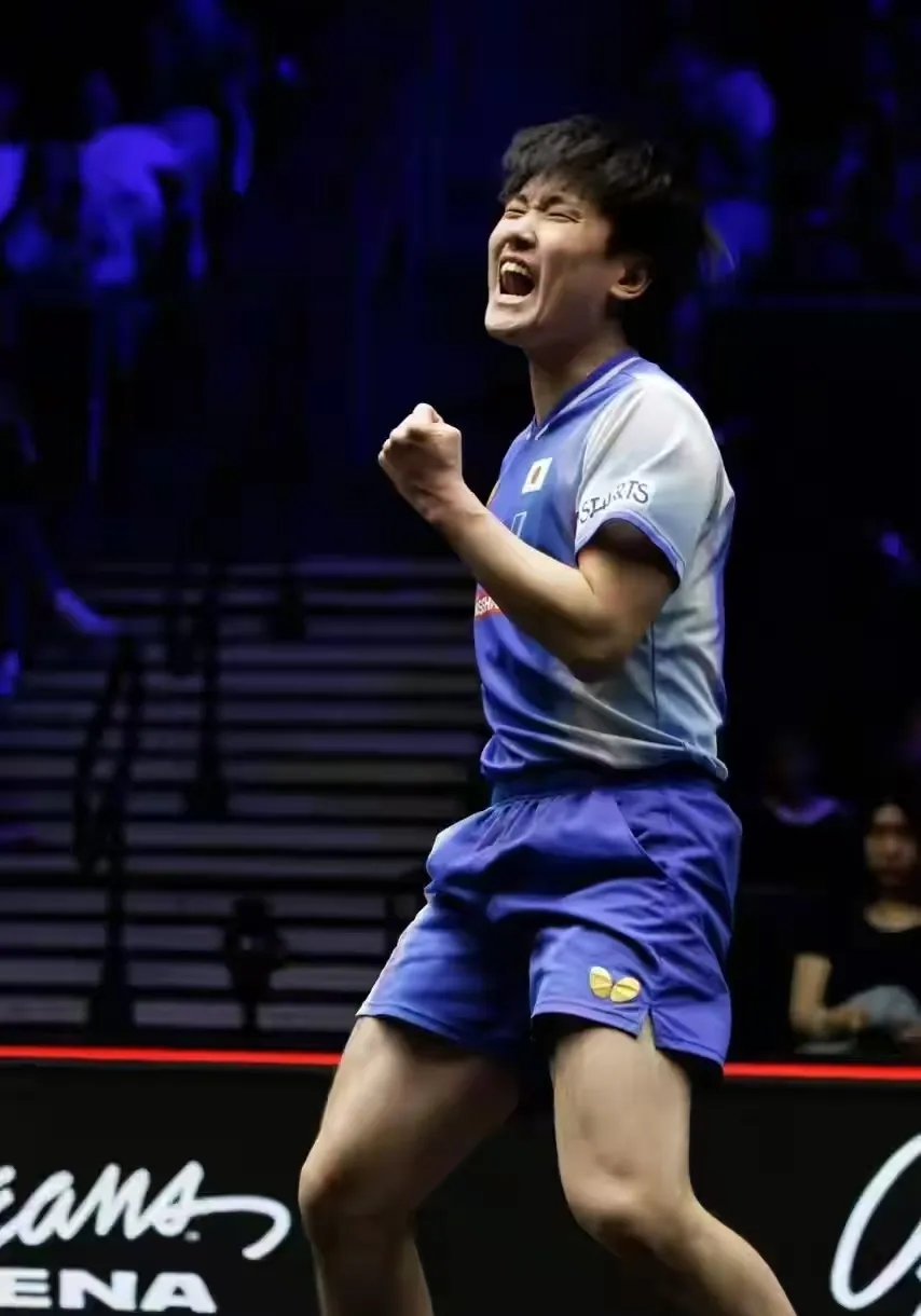 包含瑞典队翻盘日本队，张本智和高光表现的词条