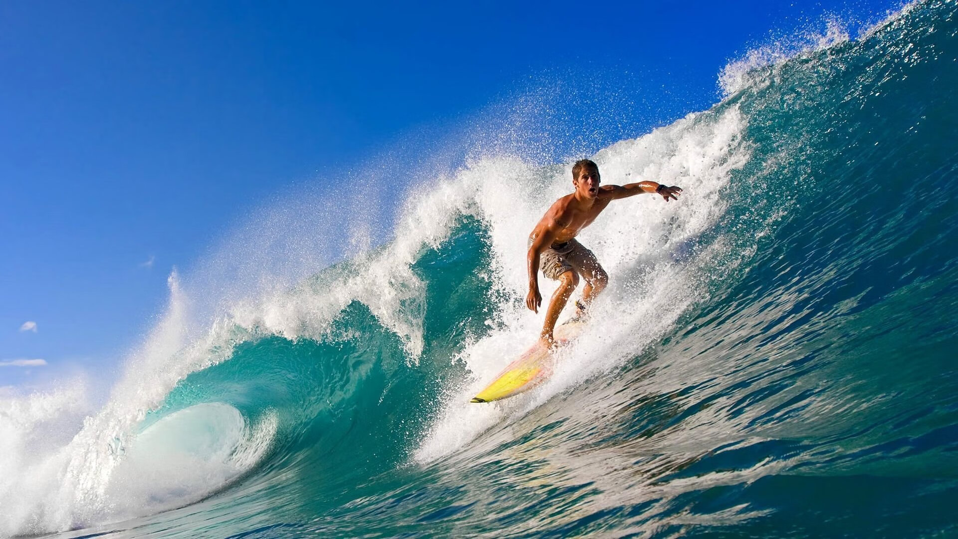 尼克斯封锁国王，文班亚马如何成为攻防转换的绝对核心